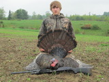 Turkey Hunting Maine, Hunt Turkey at Maine Experience Guide Service.