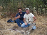 Black Tail Deer Hunting California