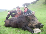 California Hog Hunting Boar Hunting Outfitters California.