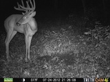 Ohio Big Whitetail Buck 