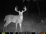 Ohio Sportsman Outfitters Whitetail