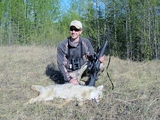 Predator Hunts Alberta