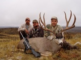Mule Deer Trophy Hunts In Wyoming.