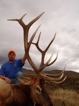 Elk Hunting Wyoming