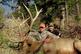 Rifle Elk Hunt Wyoming