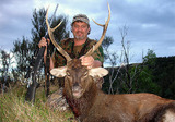 New Zealand Sika Deer Hunting