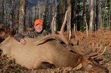 Colorado Elk Hunting | Elk Hunting Lodge