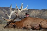 Trophy Elk Hunting in Colorado.