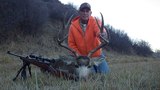 Mule Deer Hunting Colorado.