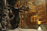 Colorado Hunting Lodge