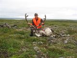 Hunting Caribou Quebec