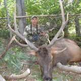 Archery Elk Hunts in Montana.
