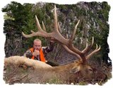 Montana Elk Hunting Outfitter.