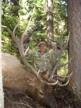 Big Montana Archery Bull