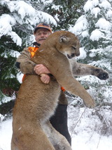 Mountain Lion Hunt in Winter Cody Carrs Hunting Adventures.