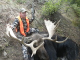 Moose Hunting season 2014