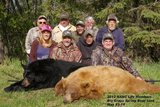 Bear Hunting Manitoba