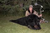 2012 Fall Manitoba Black Bear