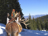 Pack in Elk Hunting in Colorado.