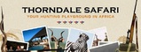 Thorndale Safaris