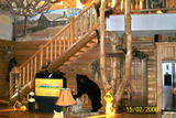Wisconsin Luxury Deer Hunting Lodge