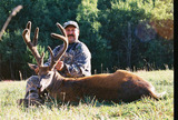 Wisconsin Whitetail Deer Hunting.