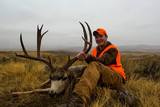Mule Deer Hunting Colorado