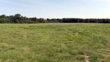 Great Deer Hunting Property for sale 160 Acres in Iowa.