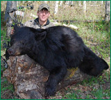 Archery Black Bear Hunting Outfitters in Alberta Canada.