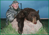 Black Bear Hunting Alberta Canada. 