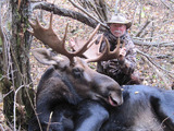 Moose Hunts Alberta Canada with Professional Moose Hunting Outfitters.