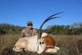 Texas Exotic Hunting Ranch Recordbuck Ranch.