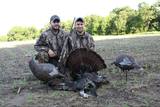 Ilinois Turkey Hunting Outfitters Western Illinois Trophy Outfitters.