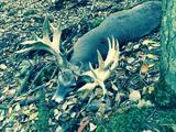Whitetail Trophy Deer Hunting Pennsylvania.