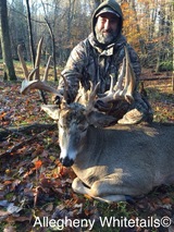Deer Hunt PA