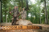 Elk Hunting Tennessee.