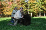 Buffalo hunting in Tennessee.