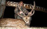 Axis deer hunting in Tennessee at Goodman Ranch.