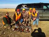 Hunting Pheasant in South Dakota is Pheasant Hunting Heaven.