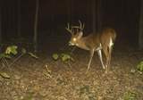 Ohio Monster Bucks The Rock Hunting Outfitters.