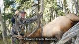 New Mexico Trophy Elk Hunting.