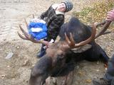 Quebec Moose Hunting Outfitters and Hunting Lodge.
