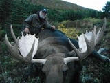 Mountain Moose Hunt