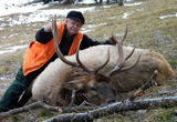 Montana Elk Hunting Trips.