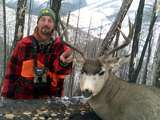Mule Deer Hunts Montana.