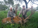 Red Stag Hunts Argentina