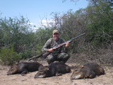 Feral Boar Hunts Argentina.
