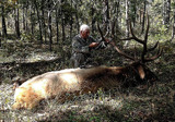 Elk Hunting Oklahoma