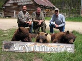 Bear Hunts Idaho