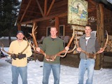 Elk Hunts Idaho